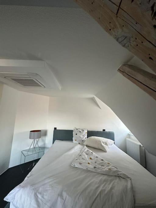 Panorama Penthouse In Wunderschoener Villa Kassel Exterior photo