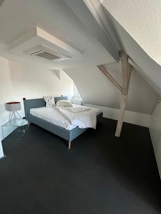 Panorama Penthouse In Wunderschoener Villa Kassel Exterior photo